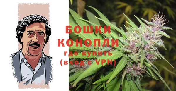 ПСИЛОЦИБИНОВЫЕ ГРИБЫ Белоозёрский